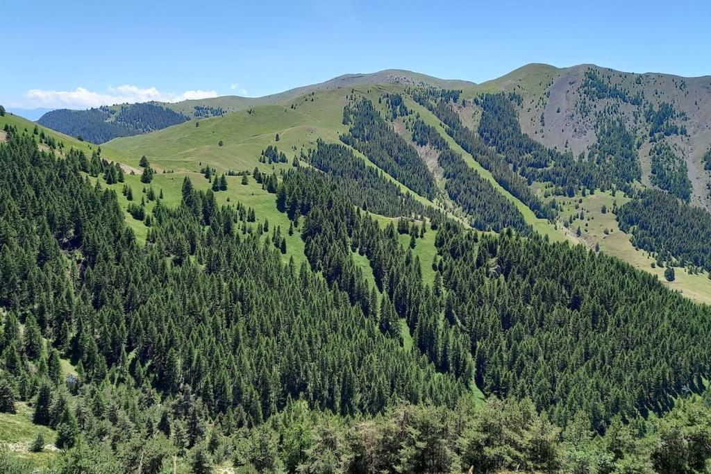 Studio Au Coeur De Valberg A Proximite Des Pistes Exteriör bild